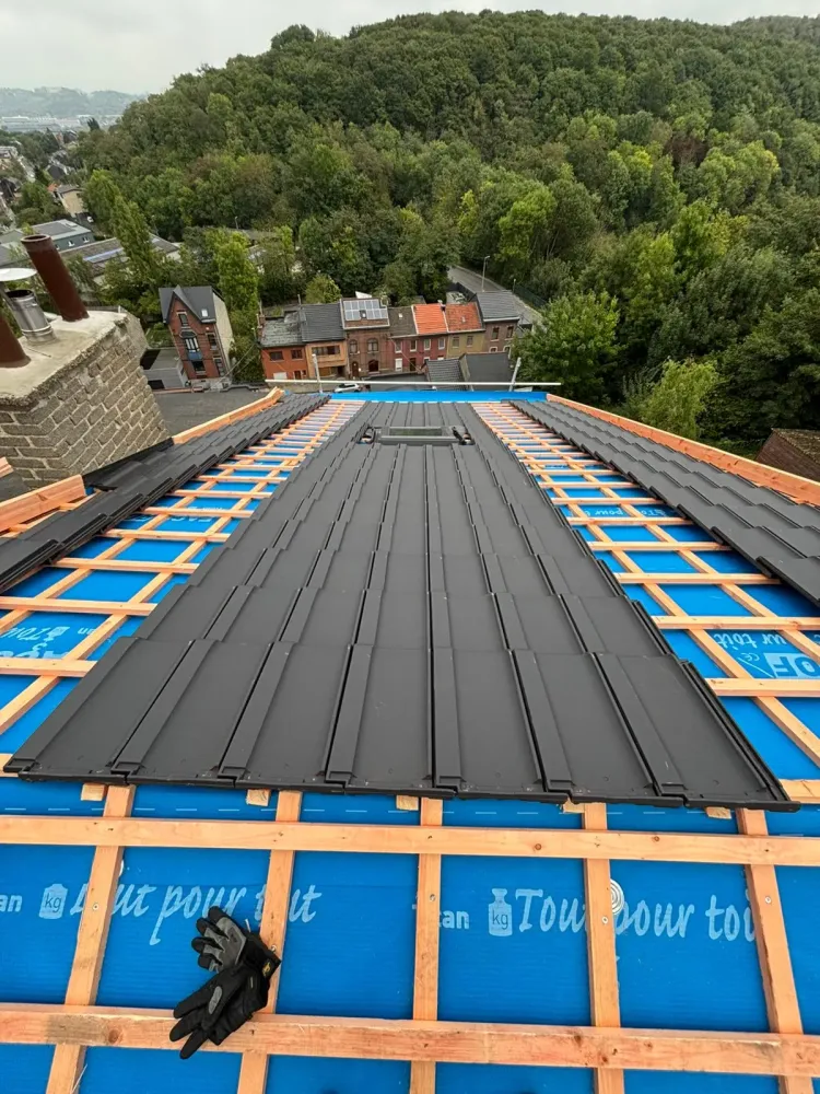 Devis toiture et chassis près de Andenne