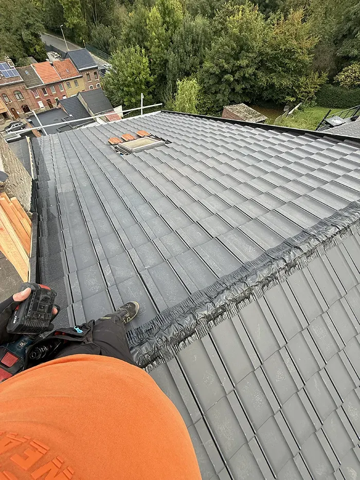 Vue en plongée d'un toit en tuiles noires